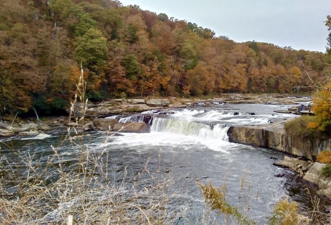 Photo of Others in Confluence