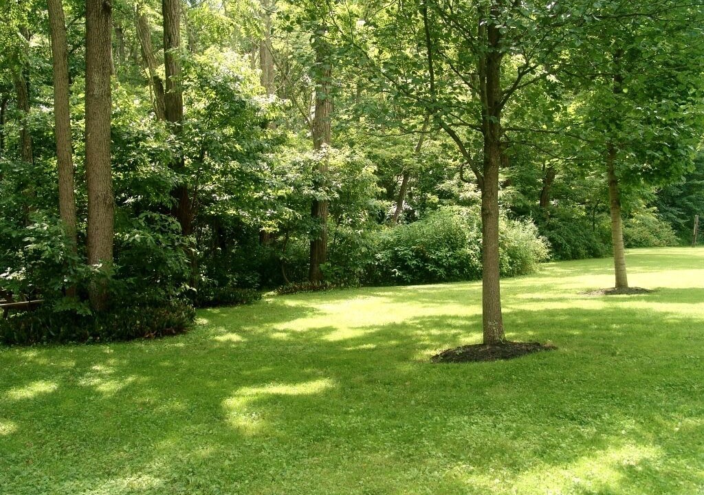 Photo of Outdoor in Confluence