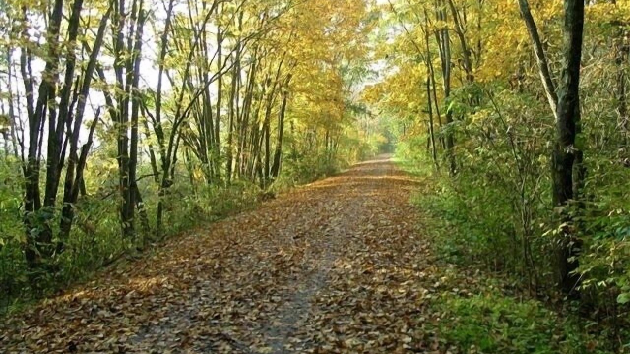 Photo of Outdoor in Confluence