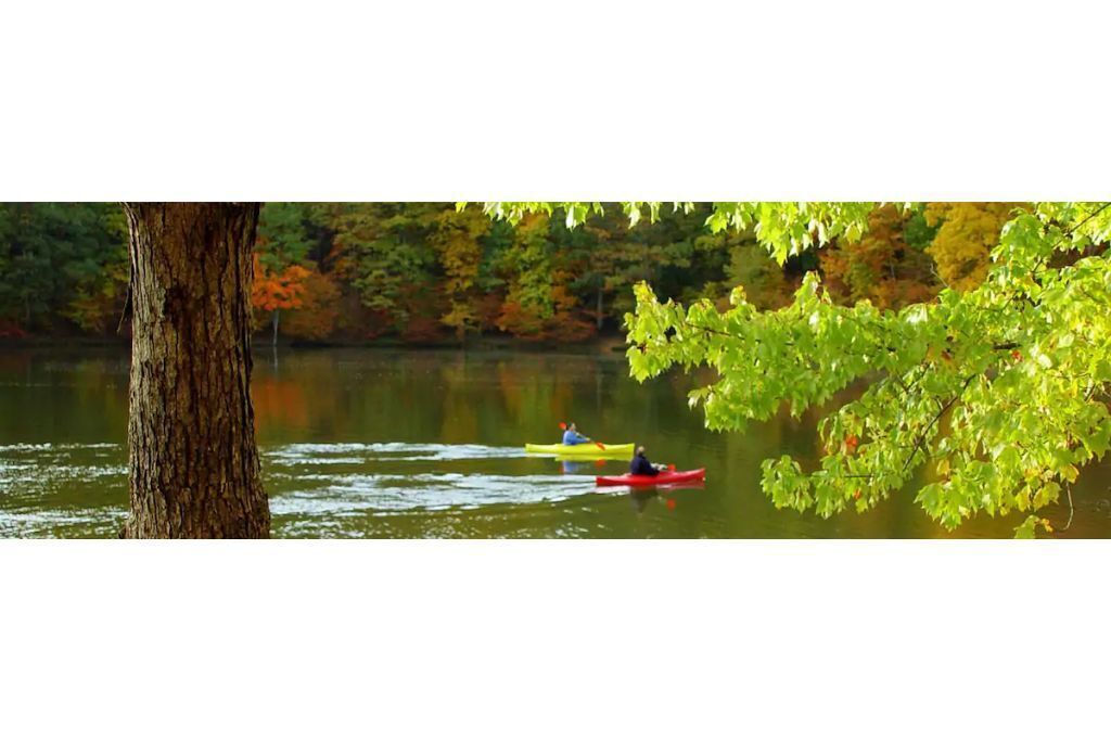 Photo of Others in South Kent