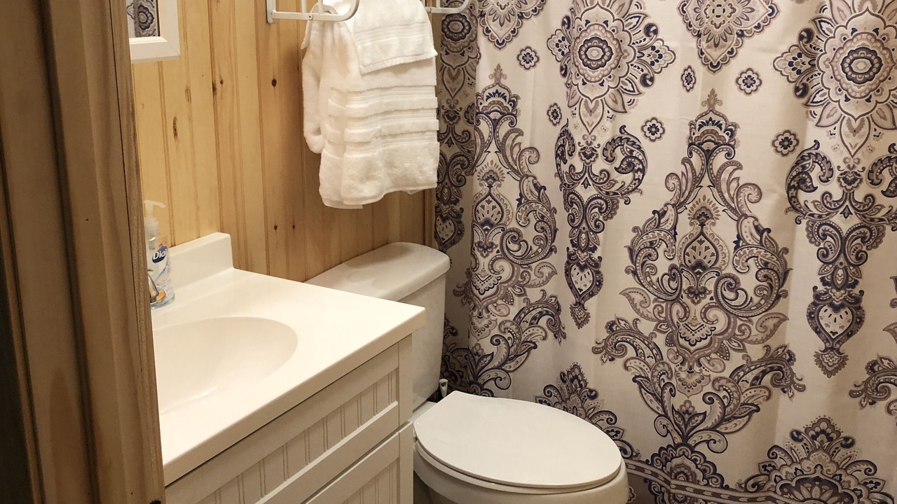 Photo of Bathroom in Mount Nebo