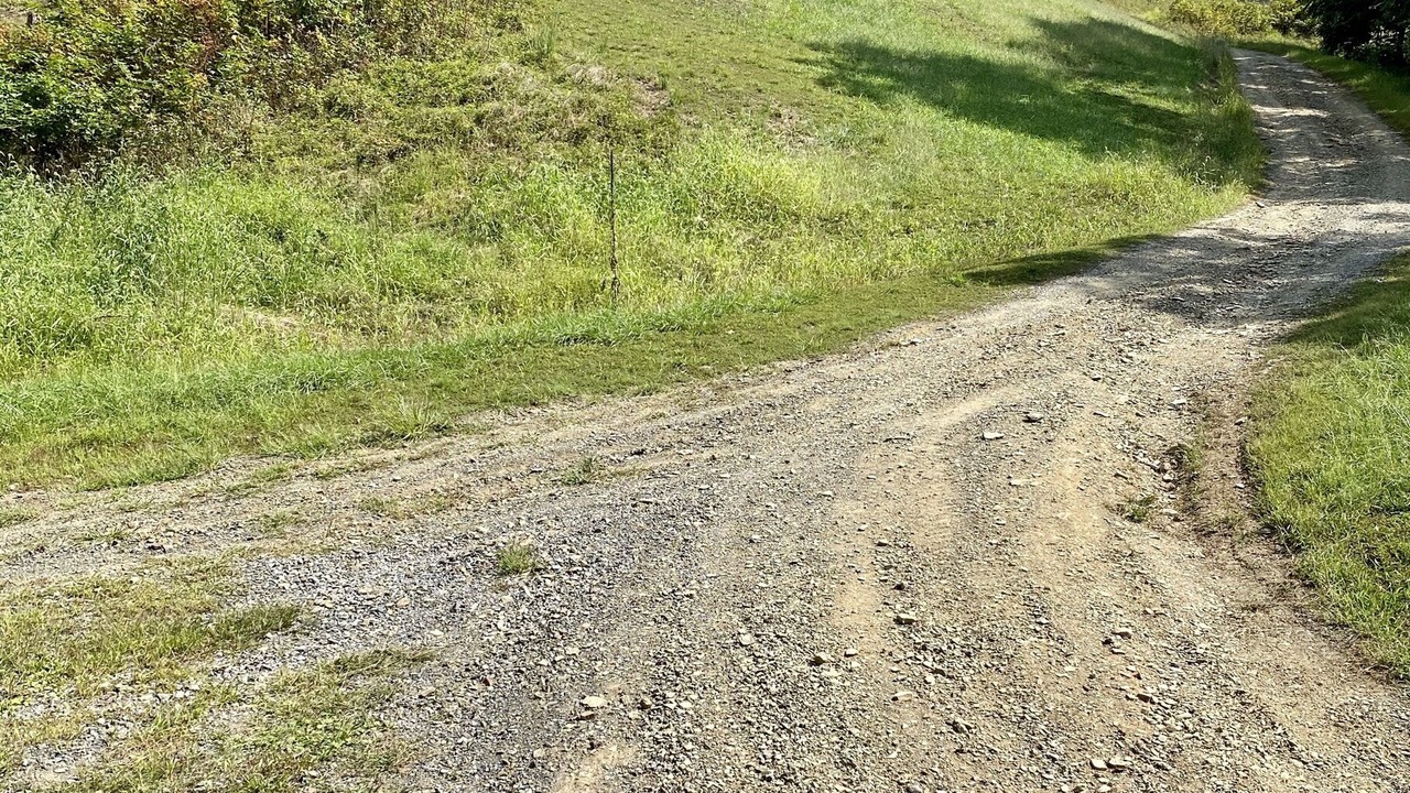 Photo of Others in Ridgeley