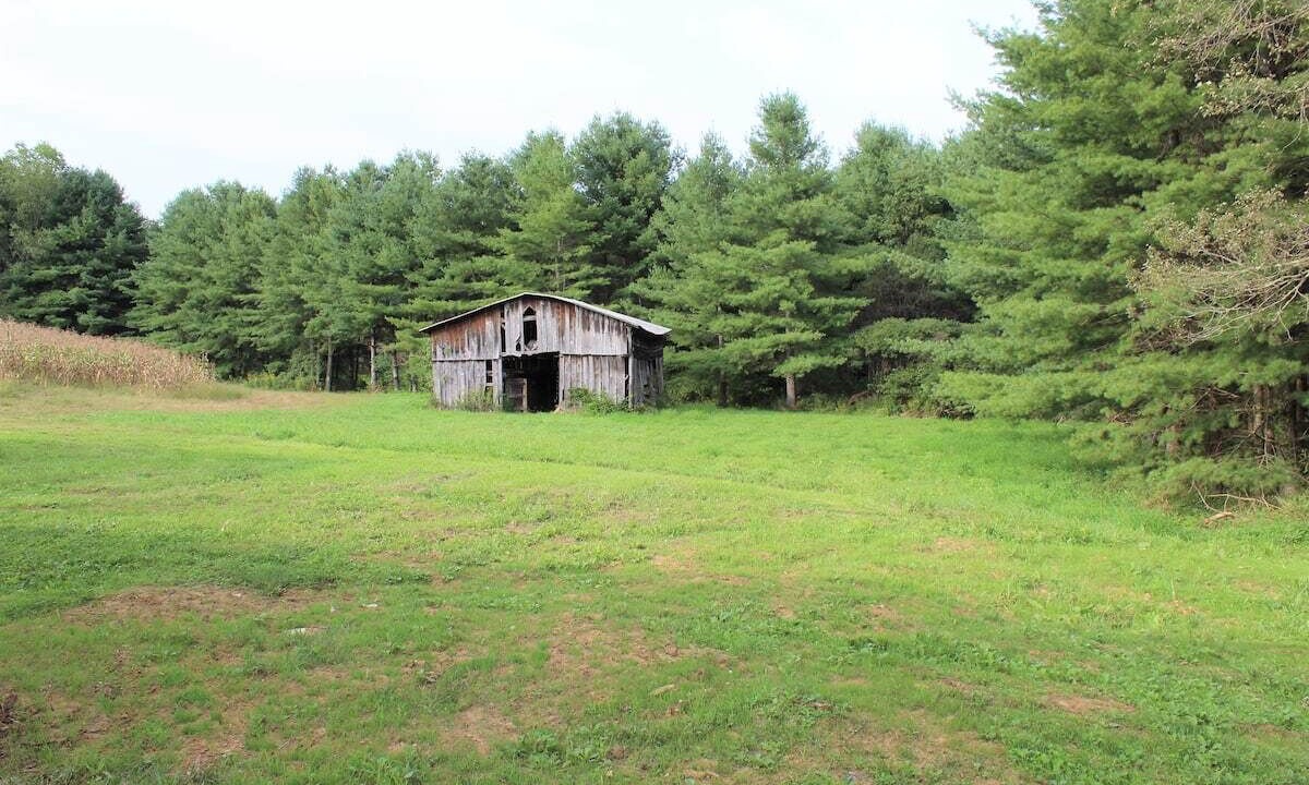 Photo of Outdoor in Mouth of Wilson
