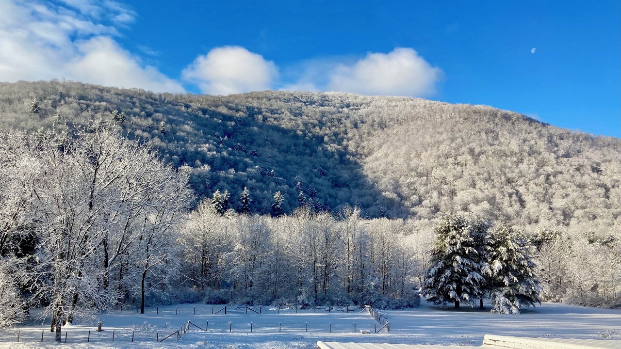 Photo of Outdoor in Allaben