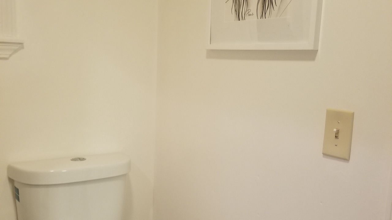 Photo of Bathroom in Hamlin
