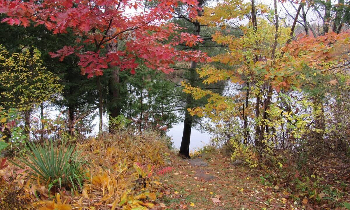 Photo of Outdoor in Wilmington