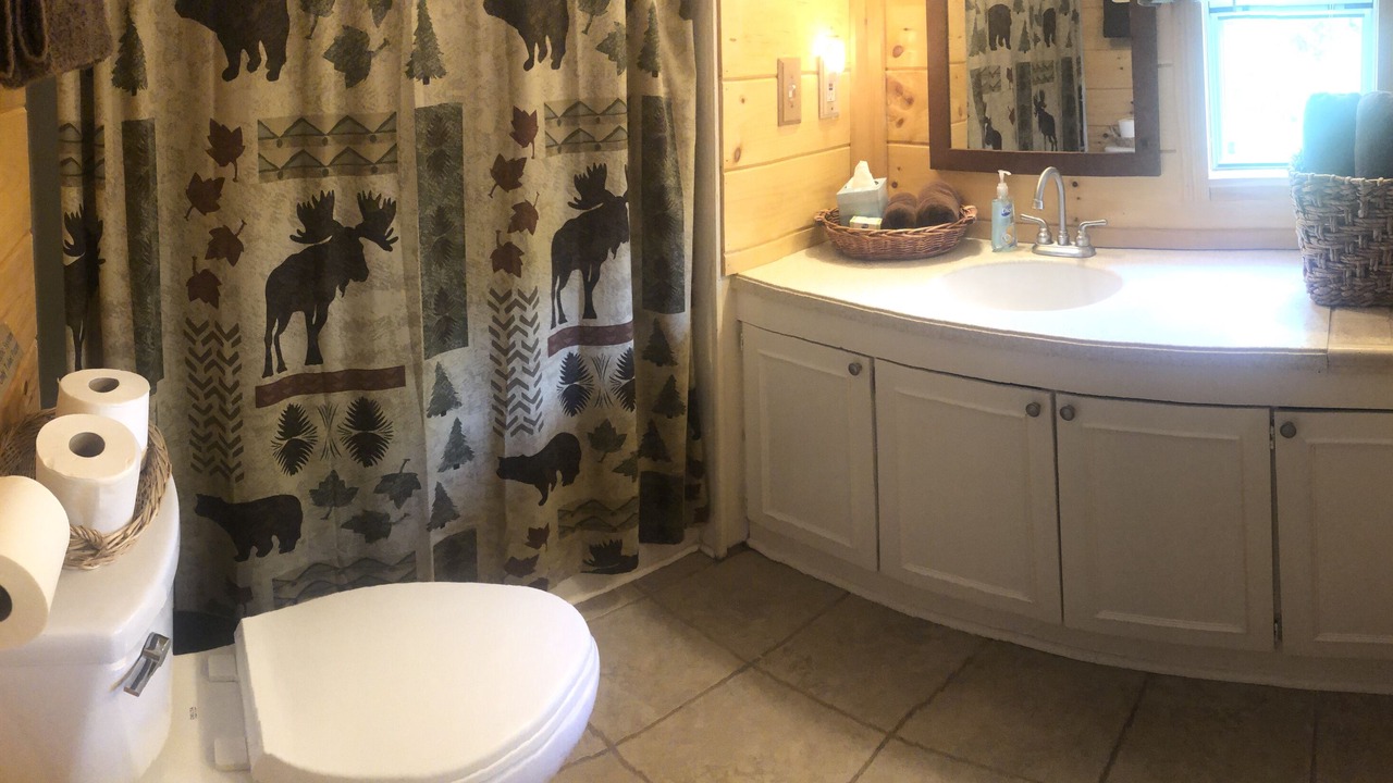 Photo of Bathroom in Mount Vision