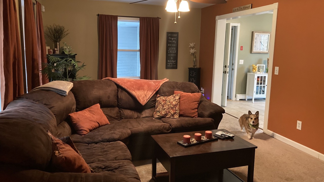 Photo of Livingroom in Clifton Park
