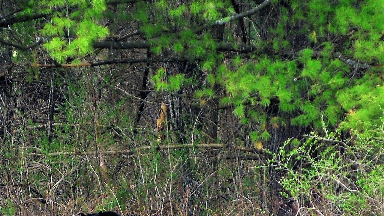 Photo of Outdoor in Lee