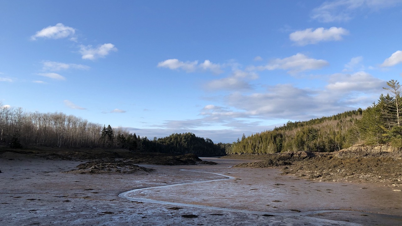 Photo of Others in Lubec