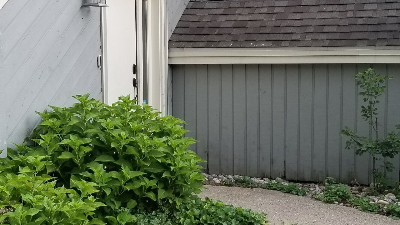 Photo of Outdoor in Bolton Landing