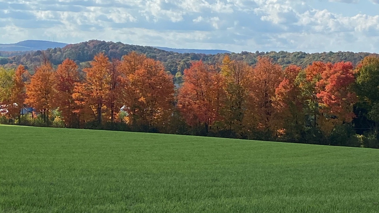 Photo of Others in Clayville