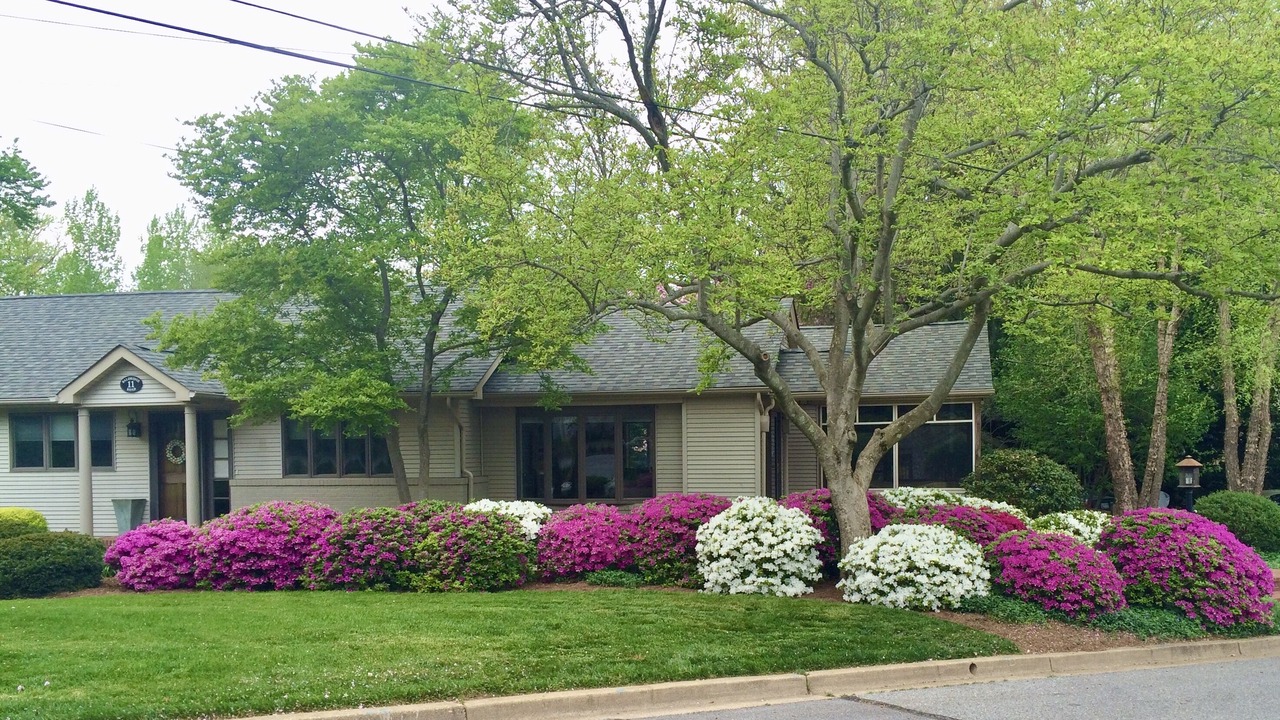 Photo of Outdoor in Annapolis