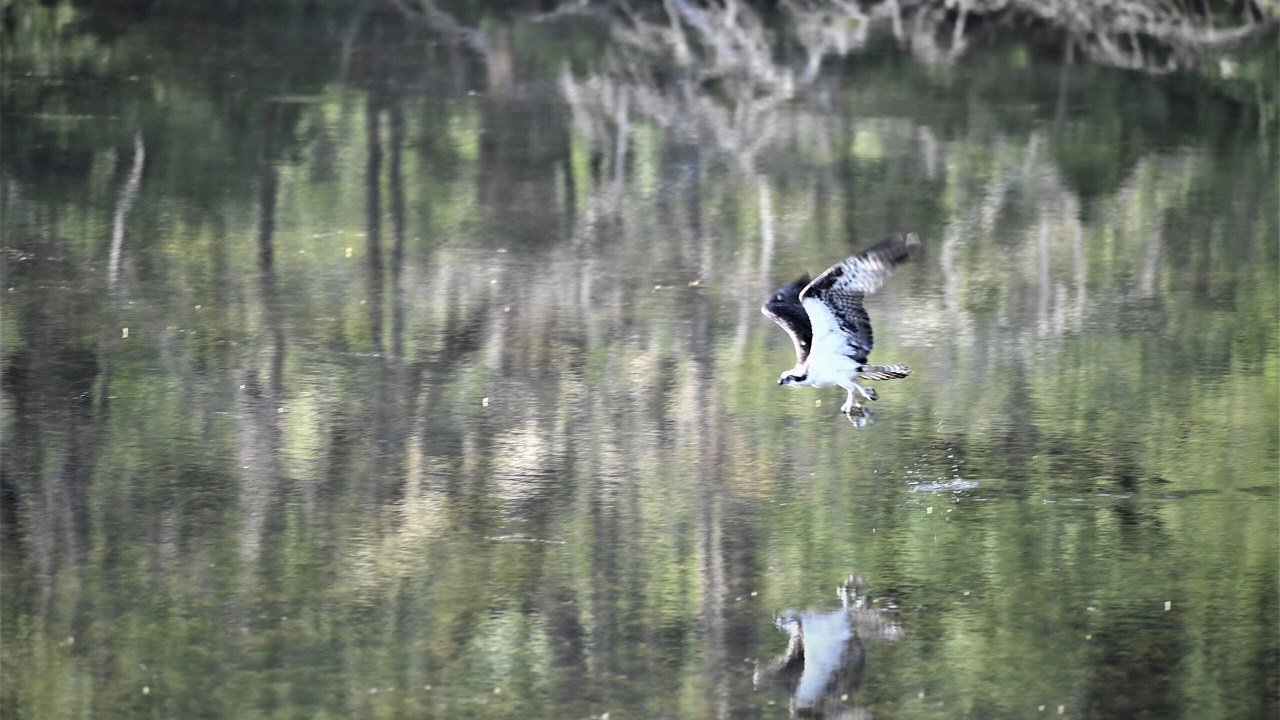 Photo of Others in Broadalbin
