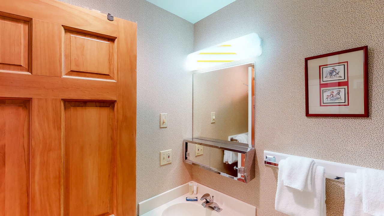 Photo of Bathroom in Bromley Mountain