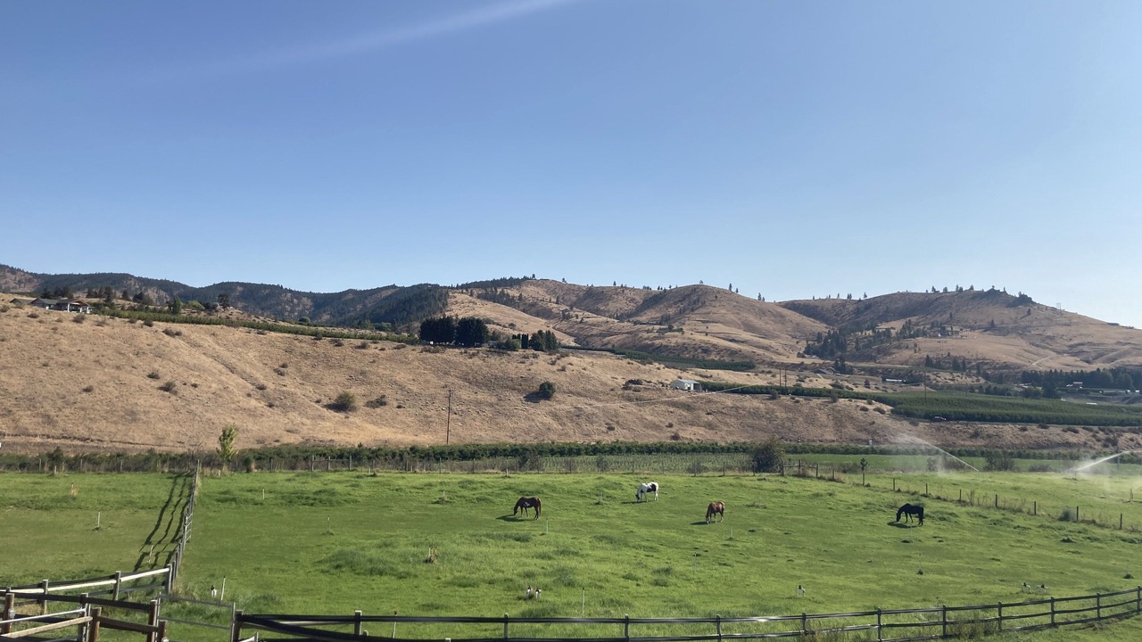 Photo of Others in Chelan