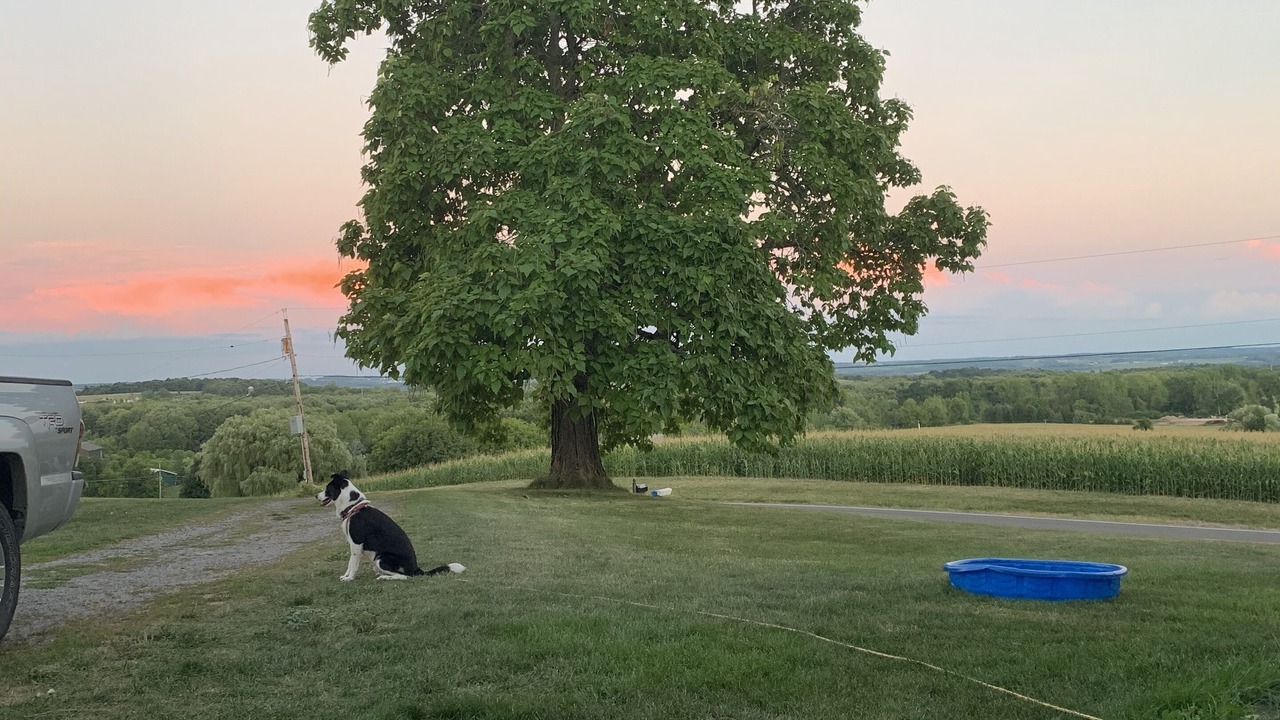 Photo of Others in Canandaigua
