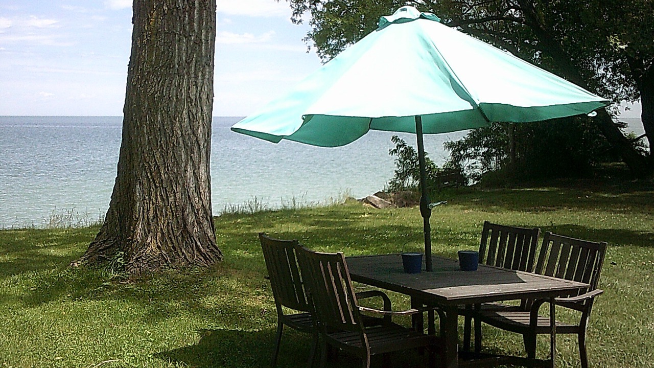 Photo of Outdoor in Youngstown