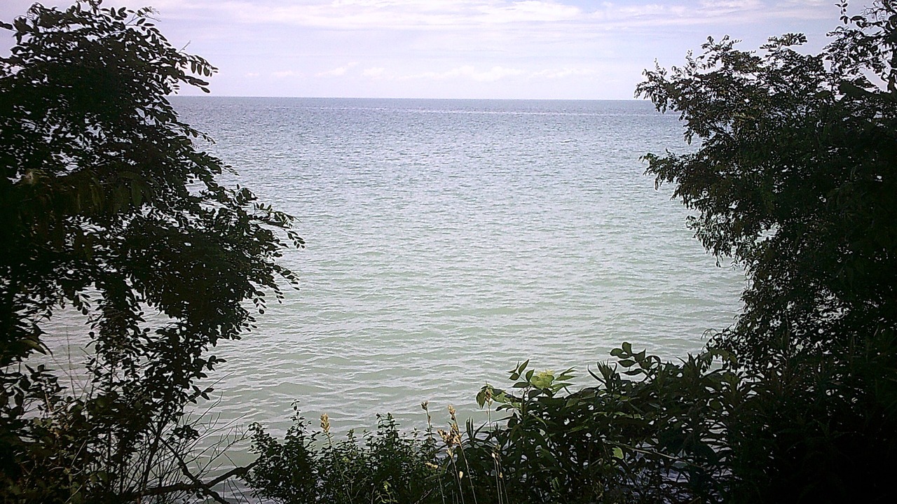 Photo of Outdoor in Youngstown