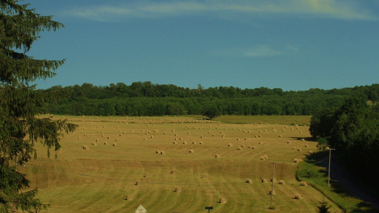 Photo of Others in Roscoe