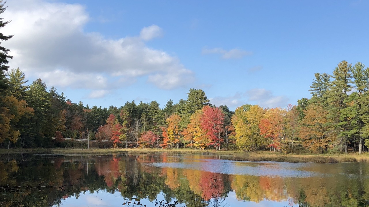 Photo of Outdoor in Weare