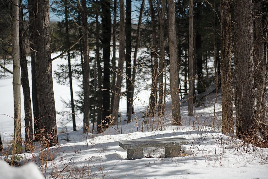 Photo of Outdoor in Weare