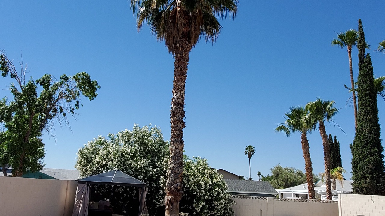 Photo of Outdoor in Summerlin