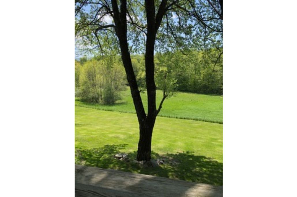 Photo of Outdoor in Dorset