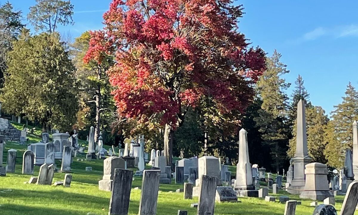 Photo of Outdoor in Hudson