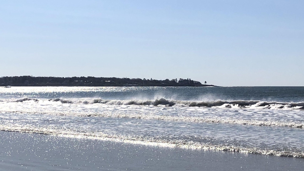 Photo of Others in Pine Point