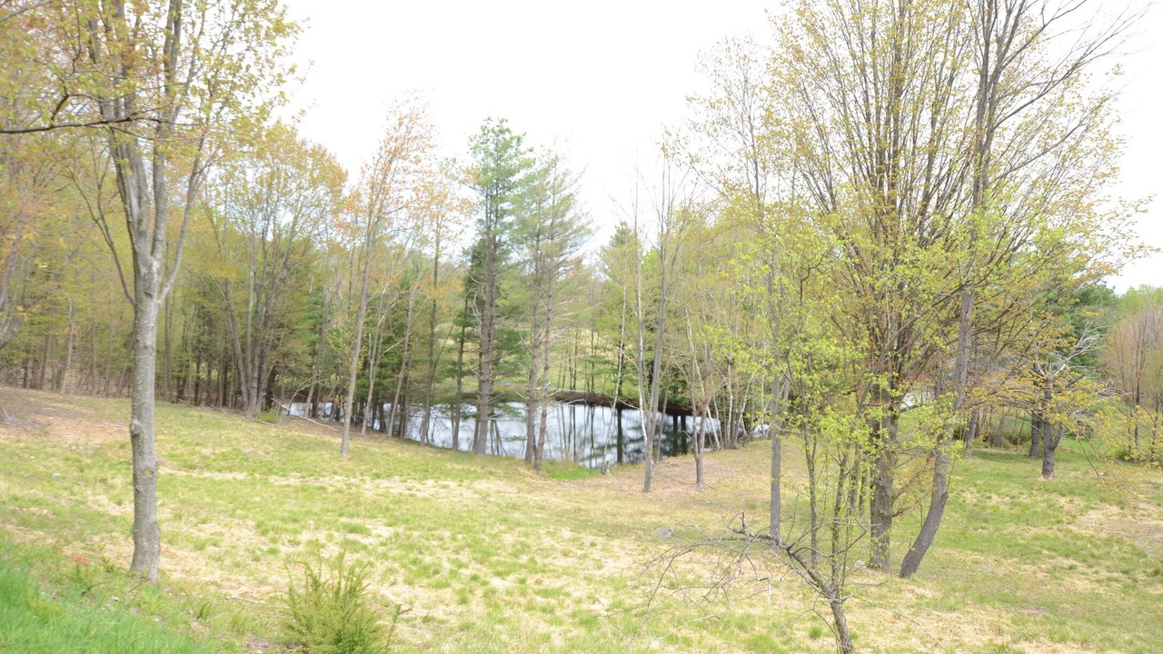 Photo of Outdoor in Saugerties