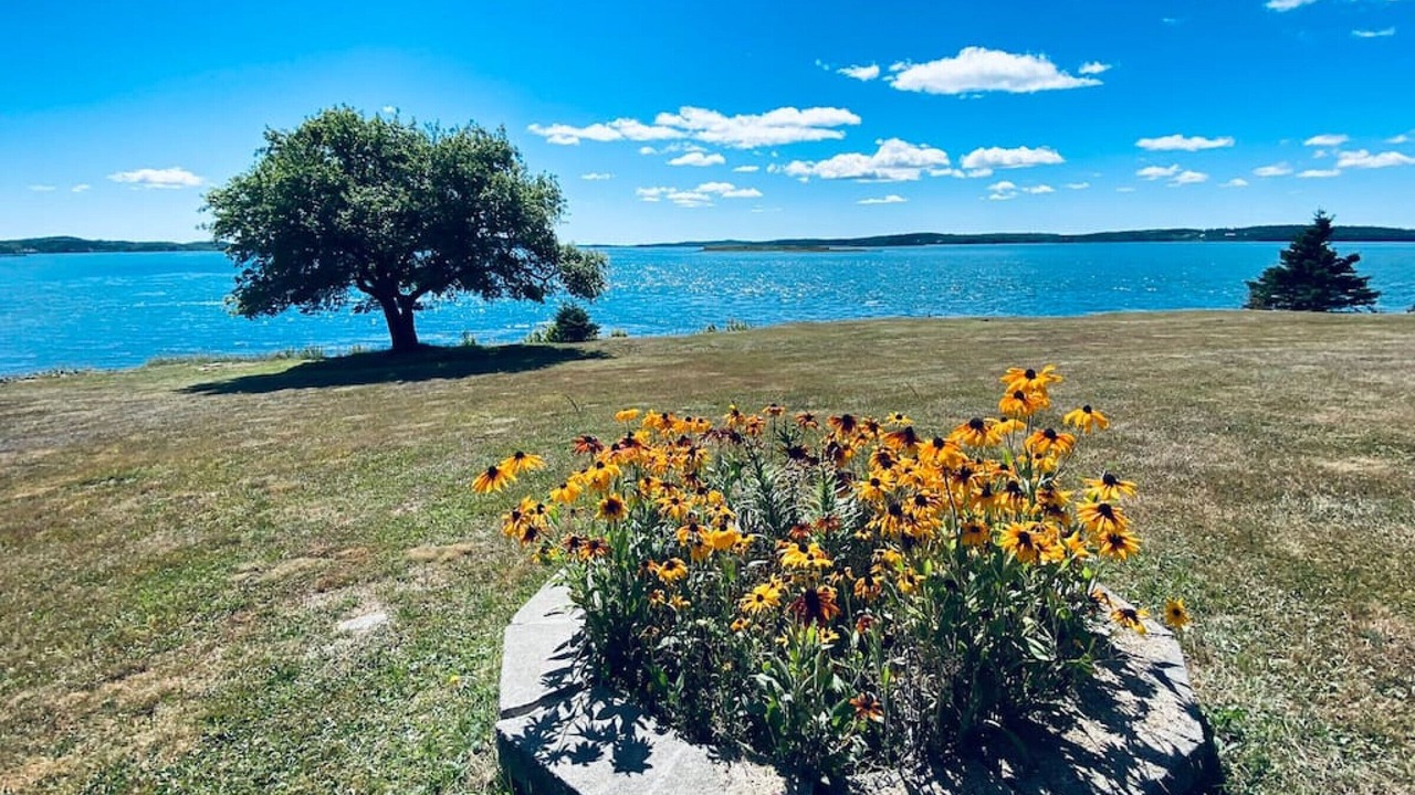 Photo of Outdoor in Eastport