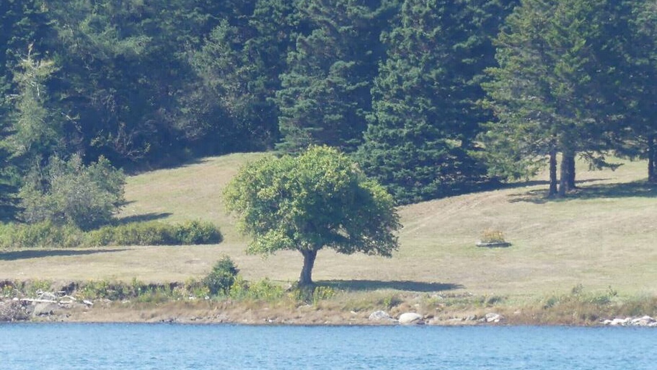 Photo of Others in Eastport