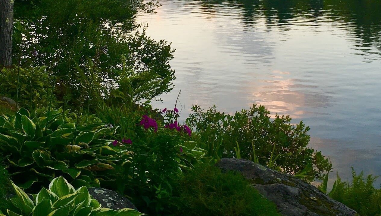 Photo of Outdoor in Sunapee