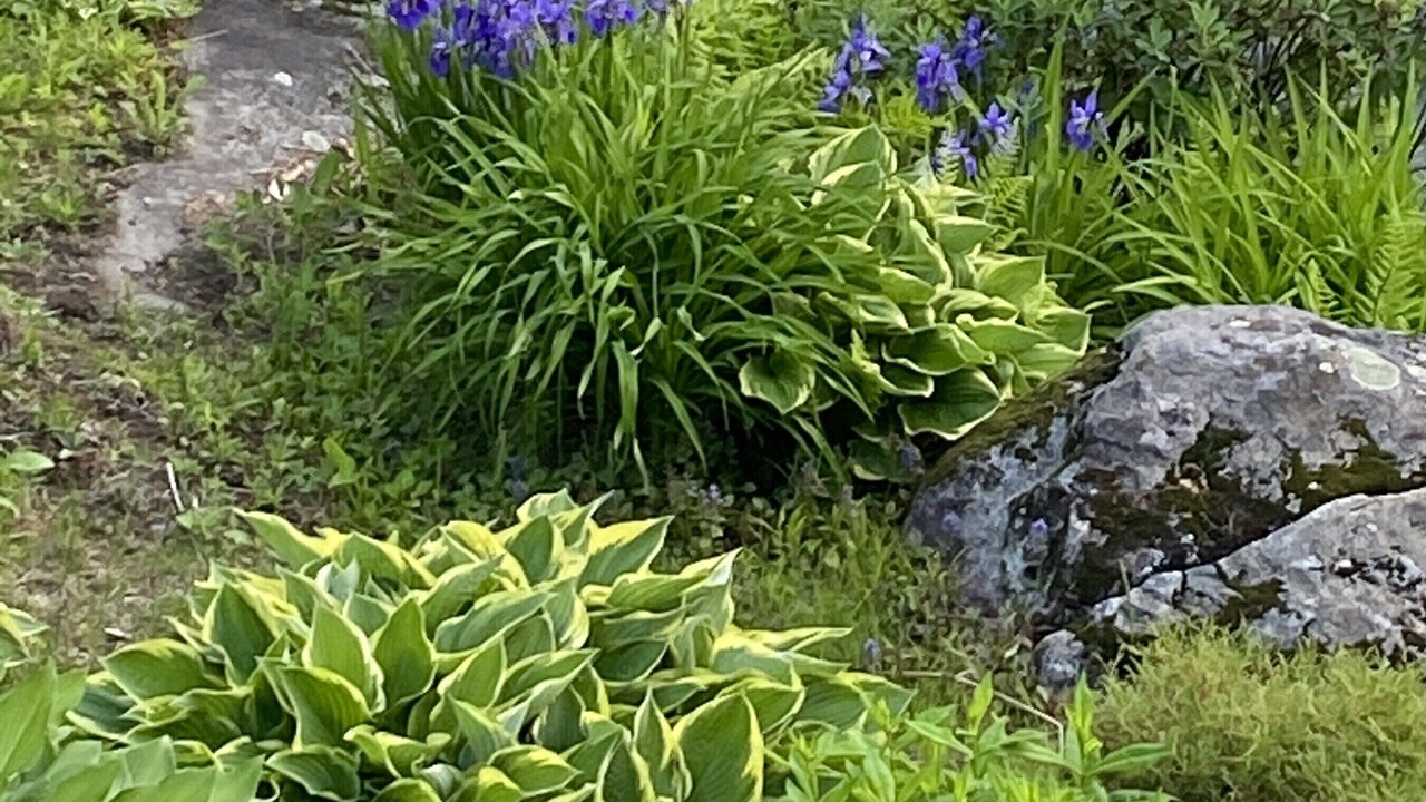 Photo of Outdoor in Sunapee