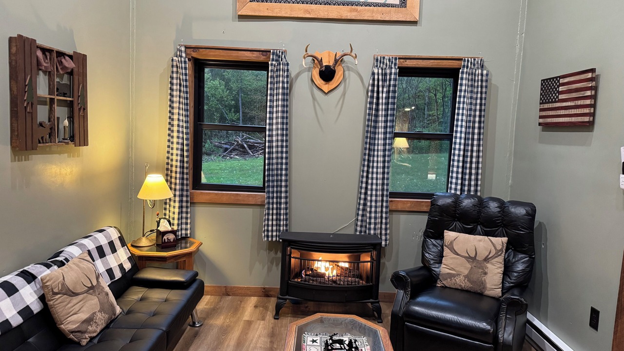Photo of Livingroom in Dushore