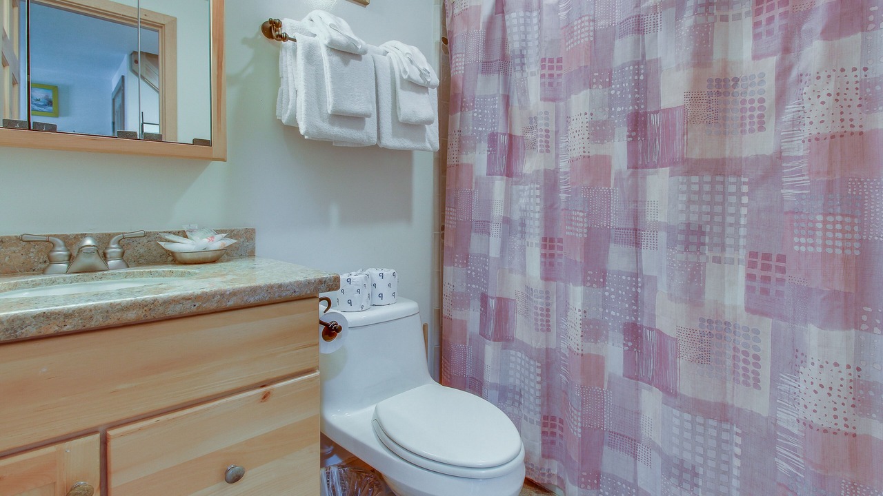 Photo of Bathroom in Mammoth Lakes