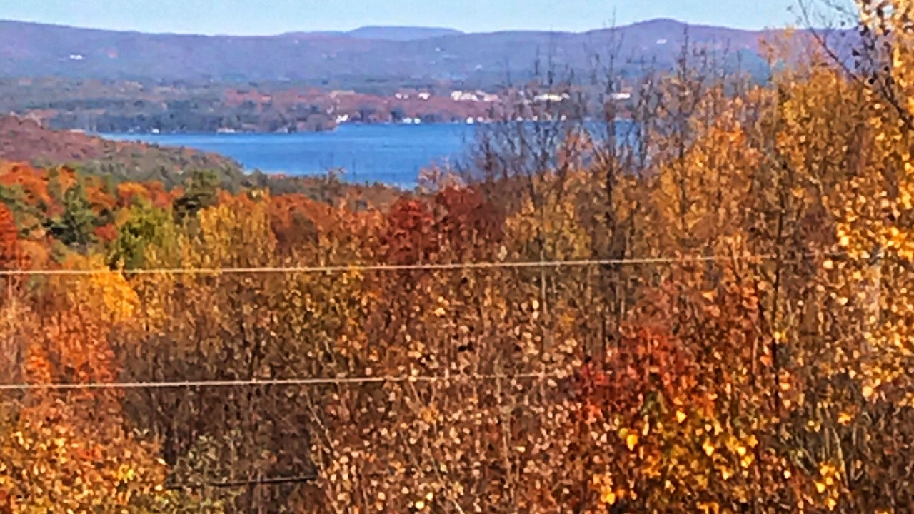 Photo of Others in Gilford