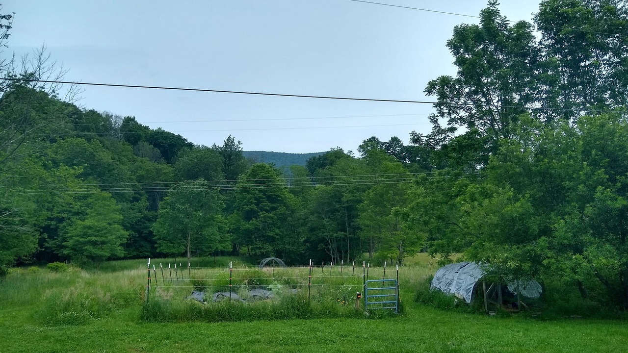 Photo of Outdoor in Seneca Rocks