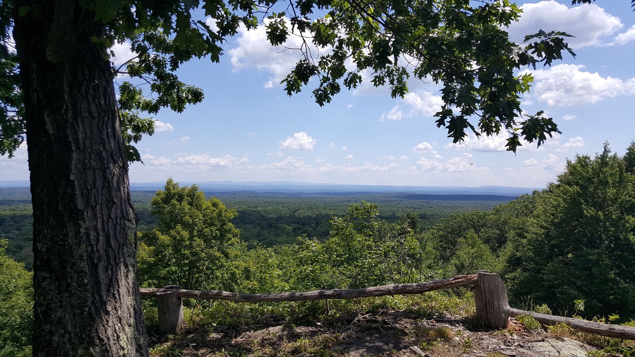 Photo of Outdoor in Palenville