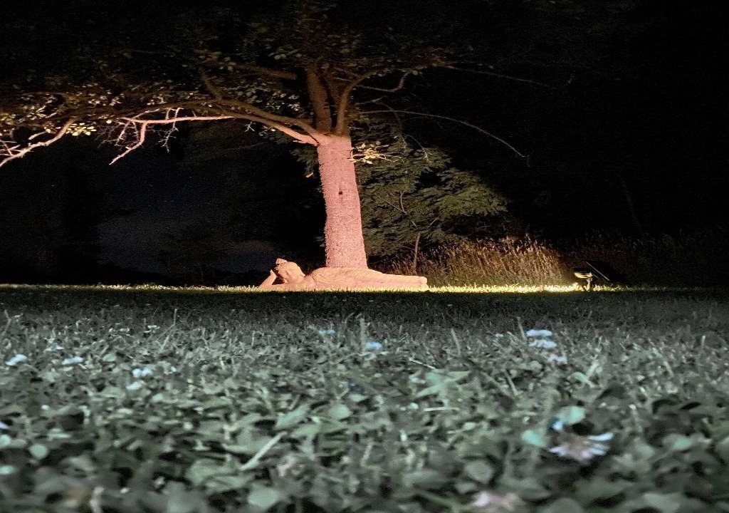 Photo of Others in Cornwallville