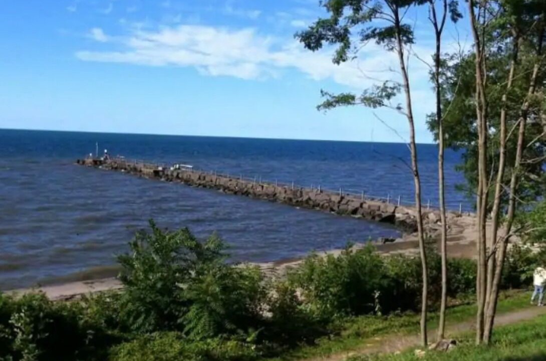 Photo of Others in Webster Crossing