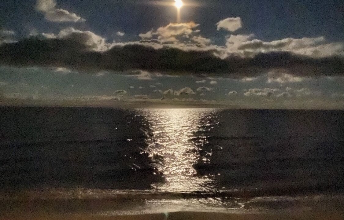 Photo of Outdoor in Point Lookout