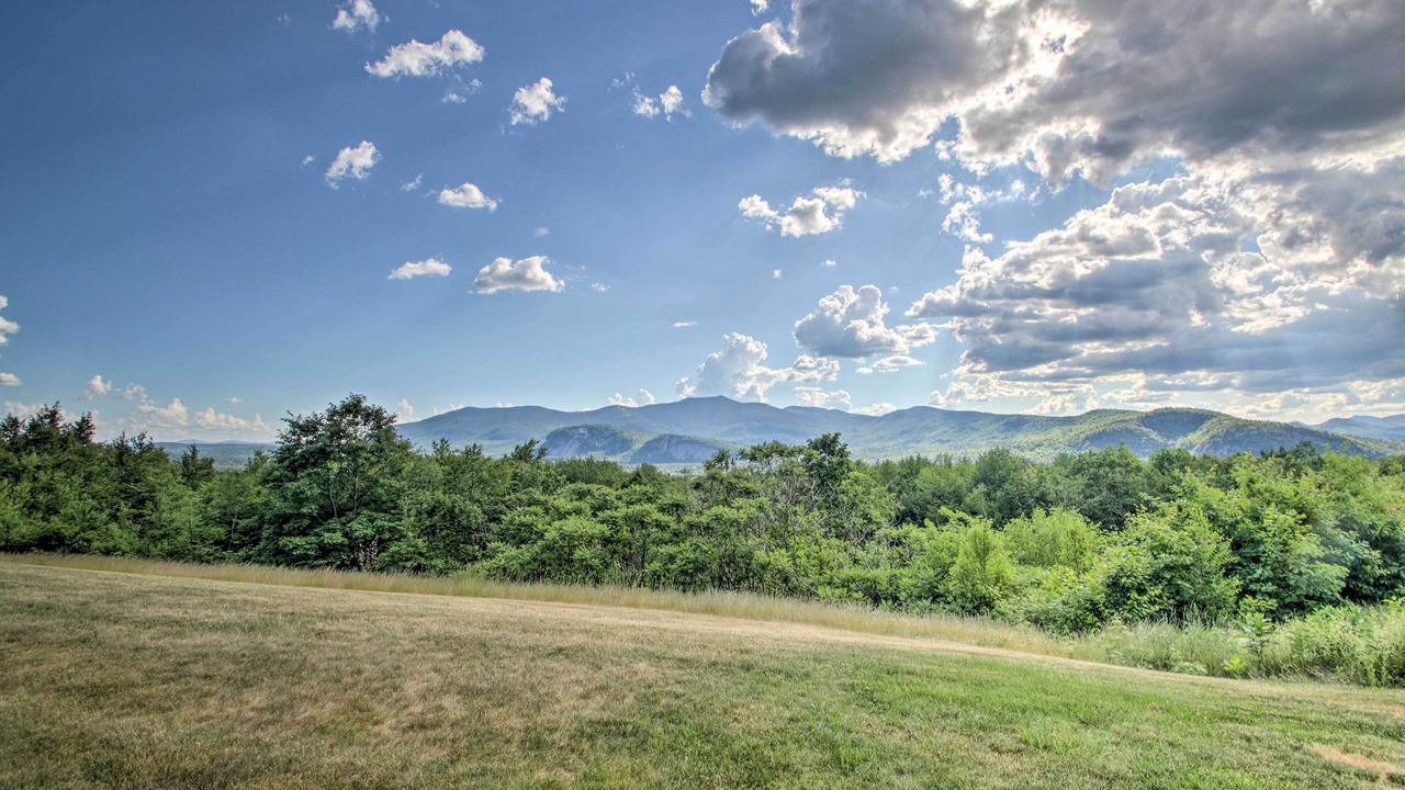Photo of Others in Intervale