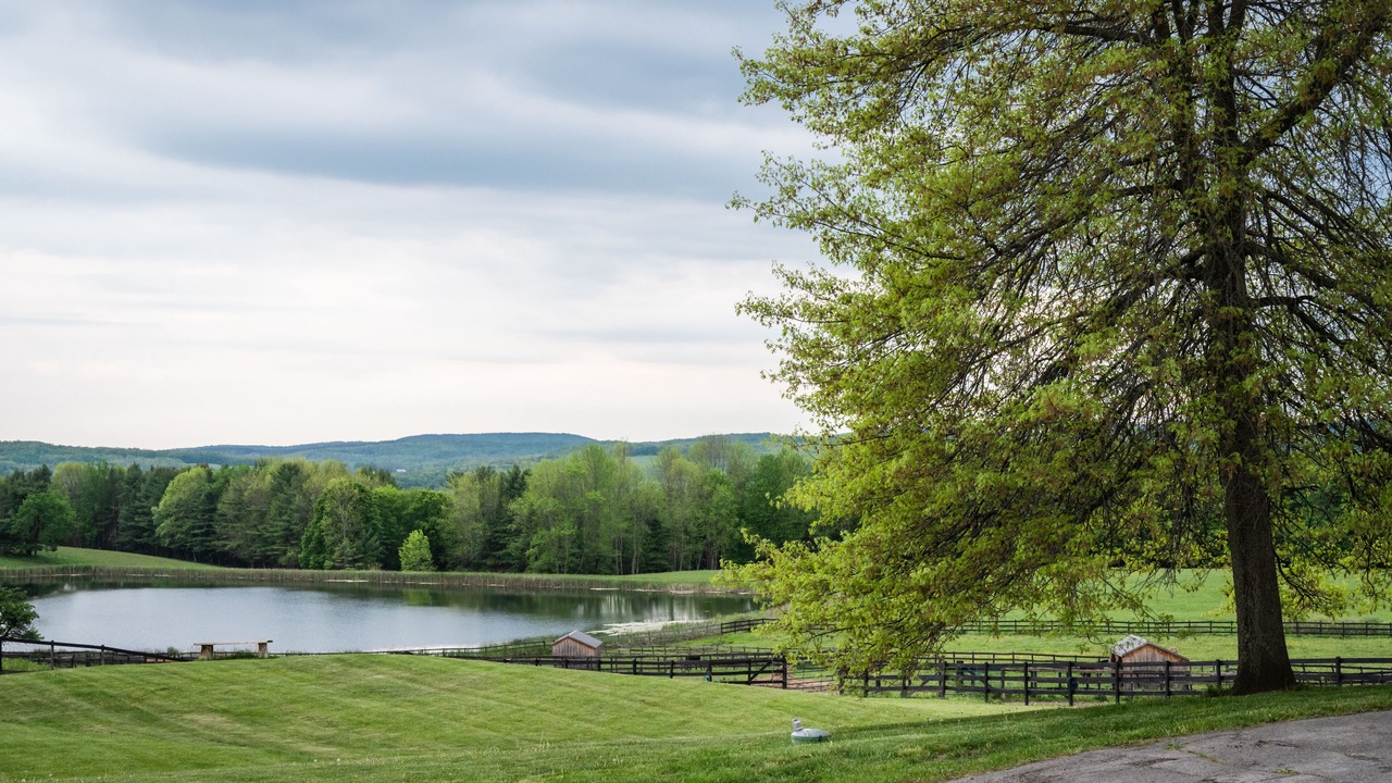 Photo of Outdoor in Fly Creek