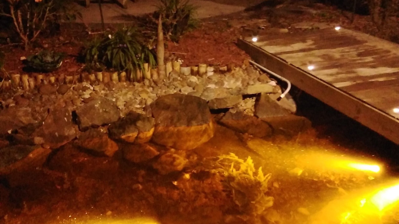 Photo of Outdoor in Dickinson