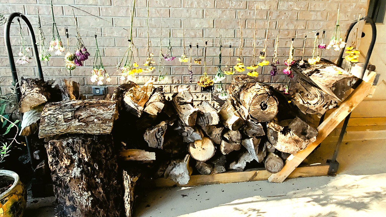 Photo of Patio Balcony in Dickinson