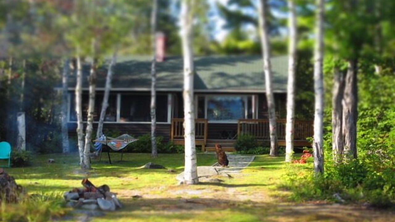 Photo of Others in Rangeley Plantation