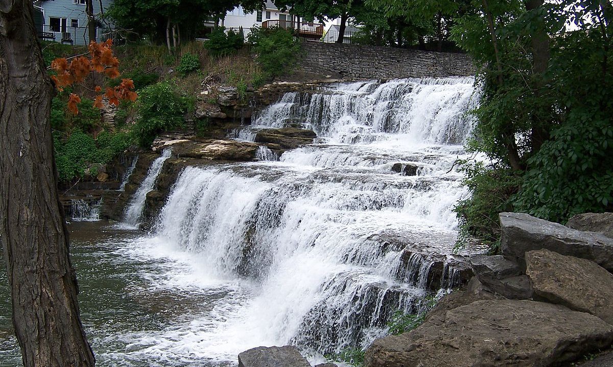 Photo of Others in Williamsville