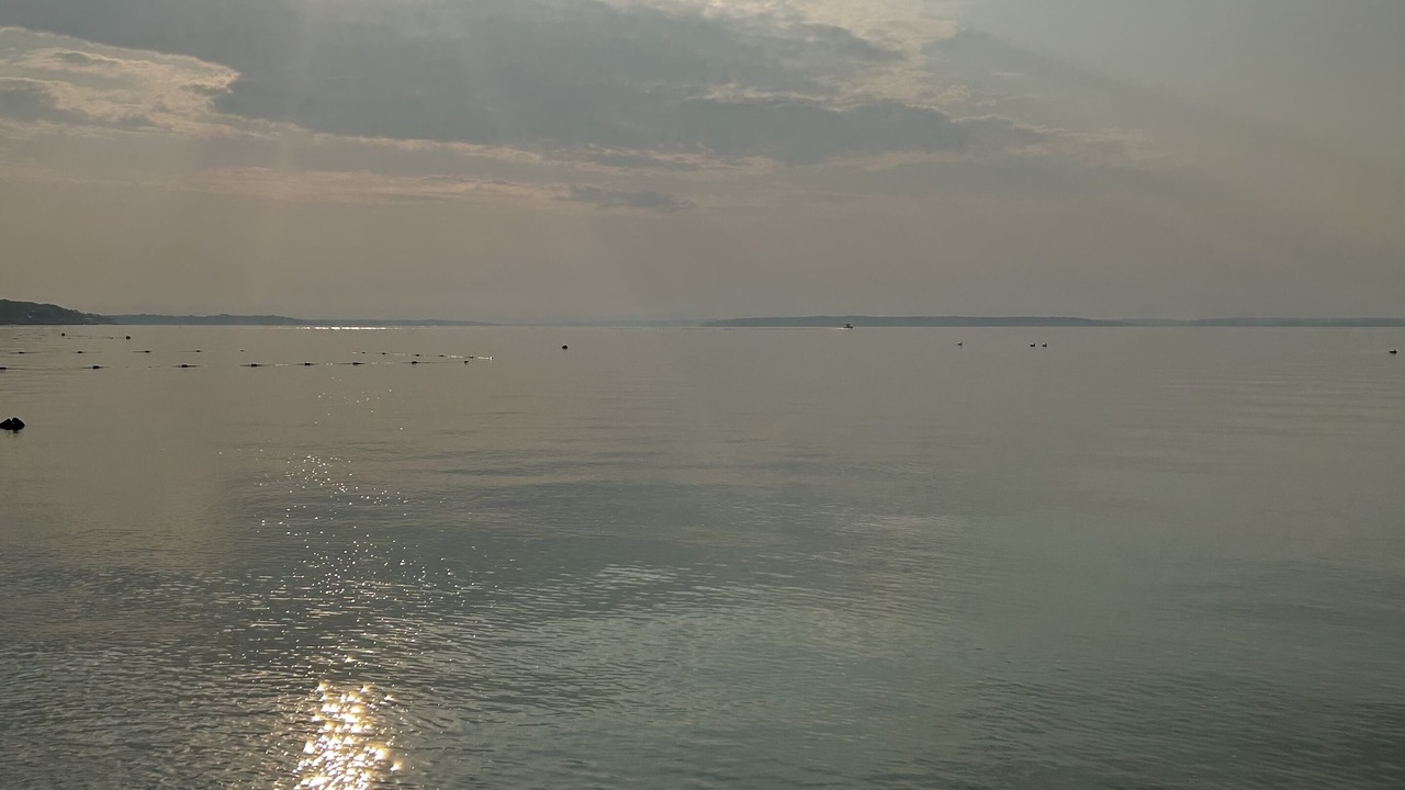 Photo of Others in Mattituck